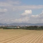 Orozco:“La sentència del TSJ avala el pla de l’Horta del Consell i tancala porta a l’especulació urbanística”