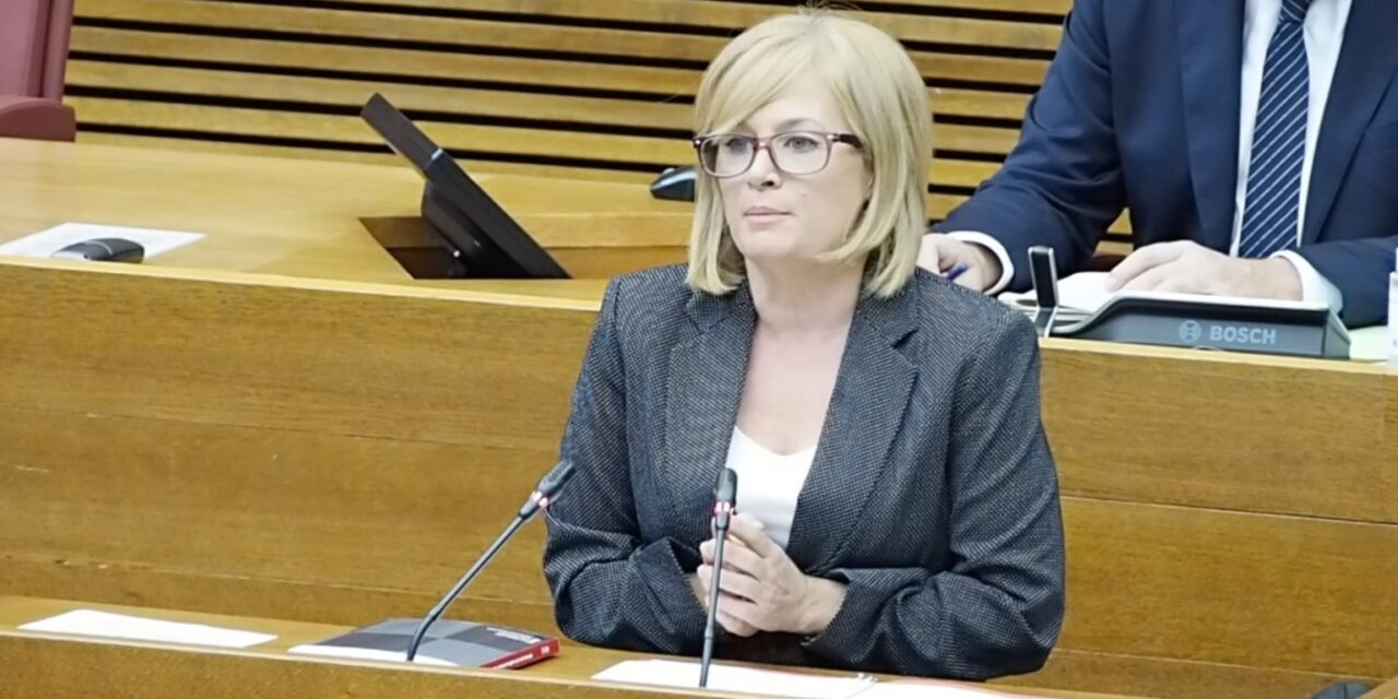 Les Corts aproven establir un torn d’ofici especialitzat per a la defensa de les víctimes de violència masclista