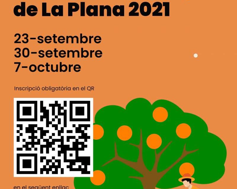 LA UNIÓ de Llauradors organitza durant tres dijous i des de demà les I Jornades Citrícoles de la Plana amb la participació de destacats ponents