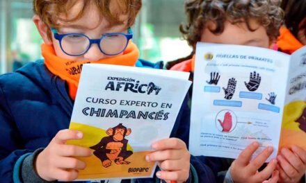 AQUEST NADAL TORNA L’ESCOLA DE VACANCES”EXPEDICIÓ ÀFRICA”DE BIOPARC VALÈNCIA