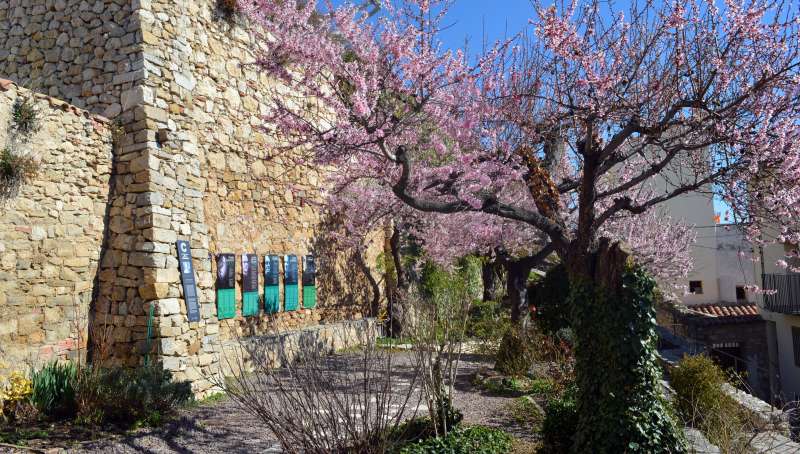 Morella renova les tres flors de Viles en flor