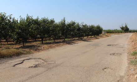 L’Ajuntament de l’Alcúdia millora els camins rurals