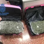 Ho enxampen amb marihuana i haixix en l’aeroport de Manises