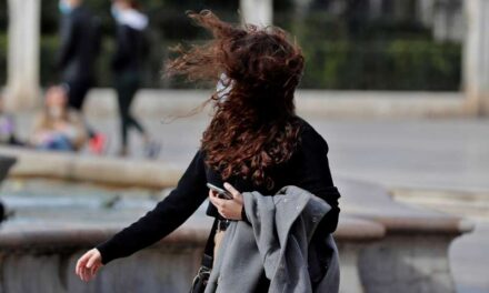 Avís taronja per vent a l’interior nord de Castelló fins a migdia