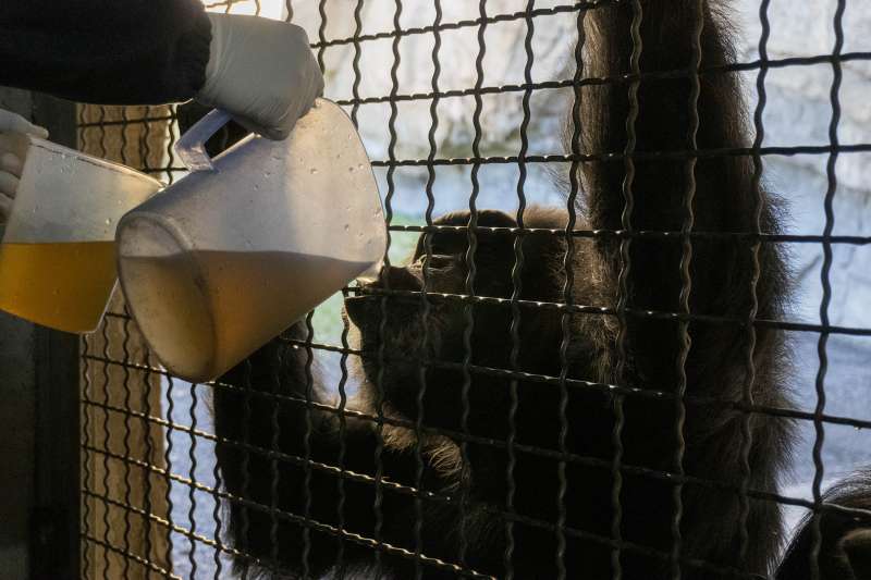 BIOPARC València pren mesures extraordinàries per a protegir els seus animals del fred