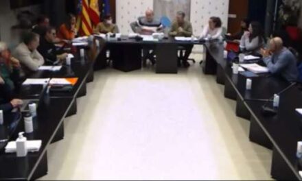 Expulsen a l’edil de Vox del ple de Massamagrell després de dir “dictador” a l’alcalde fent la salutació nazi