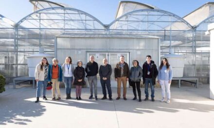 La Diputació de Castelló finança amb 67.500 euros un projecte de l’UJI