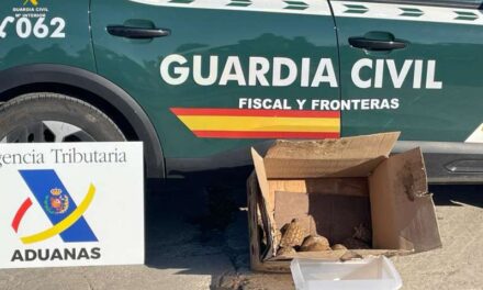 Detingut un home en el port de València que transportava en el seu vehicle deu tortugues d’una espècie en perill d’extinció