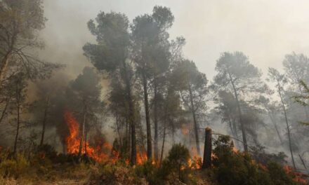La Fiscalia de Castelló investiga l’incendi de Vilanova de la Reina
