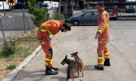 Els Bombers de Xátiva rescaten dos gossests atrapats a una séquia de El Genovés
