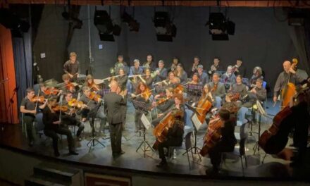 Es busquen violins per a l’Orquestra de l’Horta Sud