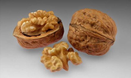 10 aliments que t’ajudaran a controlar el teu colesterol