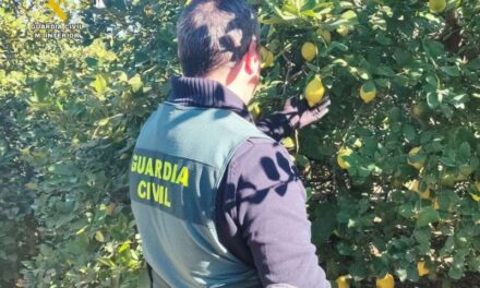 Dos detinguts per estafar 60.000 quilos de llimes a agricultors alacantins