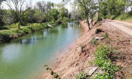 Borriana rep 18.458 euros de la Generalitat Valenciana per tindre aprovat el Pla Local de Prevenció d’Incendis