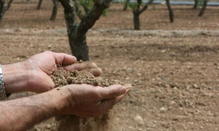 AVA-ASAJA enlletgeix que les mesures contra la sequera a penes beneficiaran al camp valencià