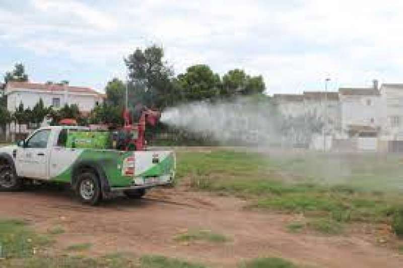 L’Ajuntament de Benicàssim reforça les actuacions enfront de l’aparició de mosquits