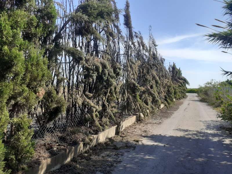Un xicotet incendi amenaça el tram baix del Paisatge Protegit de la Desembocadura del riu Millars