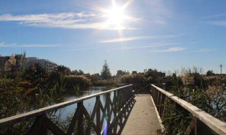 Nules presenta el programa Les Nits a l’Estany