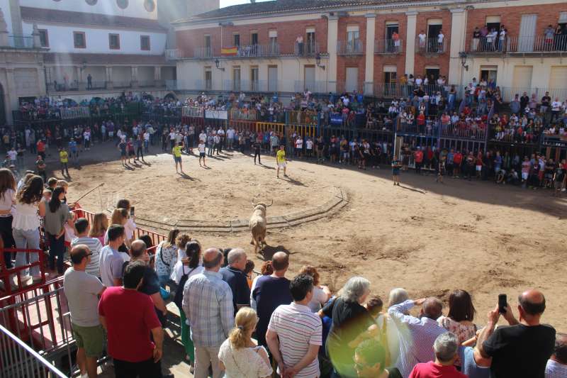 Nules obri el termini per a la inscripció de les penyes als actes més participatius de les festes patronals d’Octubre￼