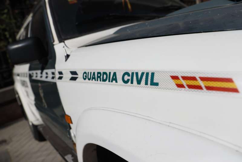 Detingut per matar un gat i robar altres tres d’una protectora d’animals alacantina￼