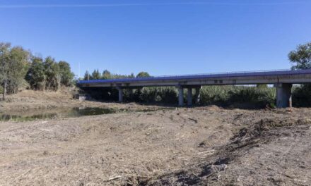 La Confederació Hidrogràfica del Xúquer destina més d’un milió d’euros a la restauració del riu Serpis al seu pas per Gandia￼