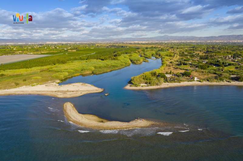 El Consorci gestor del Paisatge Protegit de la Desembocadura del riu Millars reforça el reg de 150 plançons per a garantir la supervivència