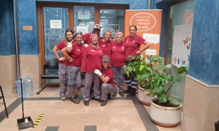 Nules forma a 20 dones que participen en el programa Fotaem￼