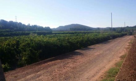 La justícia dona la raó a l’Ajuntament de Riba-roja i l’allibera de pagar 25 milions d’euros per anul·lar el PAI de Porxinos￼