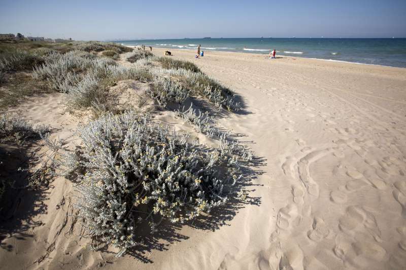 Comença la draga per al transvasament d’arena amb el qual regenerar les platges del sud de València￼