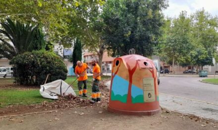 Catarroja elimina la bardissa de la plaça dels Furs per obrir-la visualment￼