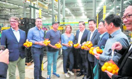 Una delegació xinesa de la província de Xi’an visita Guadassuar per conéixer l’economia i l’agricultura