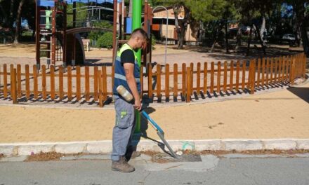 L’Eliana completa el tractament anual contra el mosquit tigre￼
