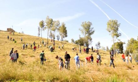 El Puig prepara la reforestació de la muntanya de la Patà amb la participació ciutadana￼