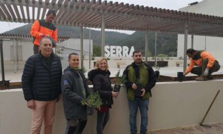 Serra planta estepa de Cartagena per celebrar el Dia de l’Arbre￼