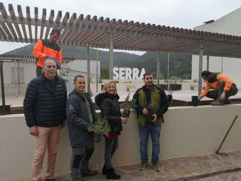 Serra planta estepa de Cartagena per celebrar el Dia de l’Arbre￼