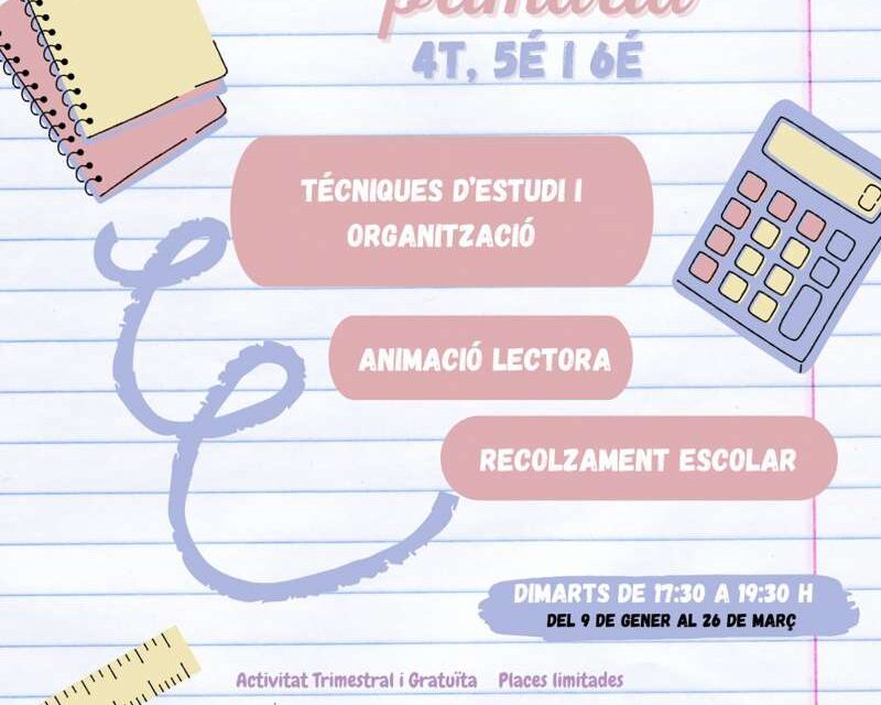Tornen els BRAIN UP! que organitza la regidoria de Joventut i Infància￼