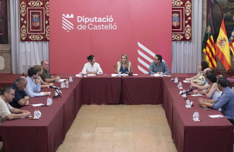 La Diputació de Castelló reunirà als municipis afectats per la megaplanta fotovoltaica Arada Solar per a defensar el territori￼