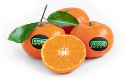 Anecoop reparteix 1.250 quilos de mandarines Bouquet en la 10K femenina de València￼