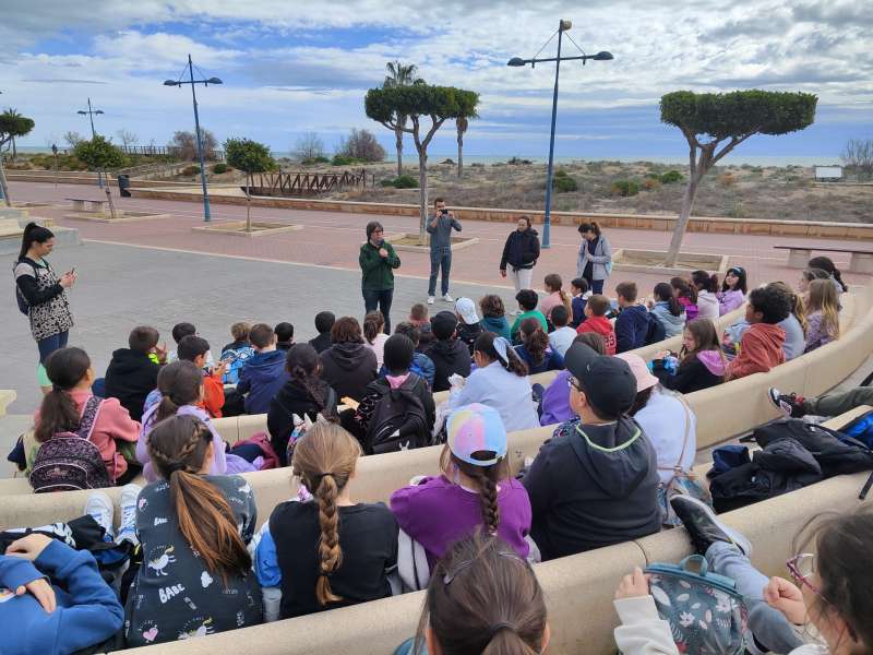 Més d’un centenar d’alumnes reforesten les dunes de la platja Nord de Peníscola￼