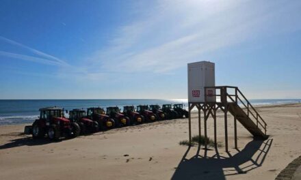 Sueca participa per tercer any en el pla de neteja de platges de la Diputació￼