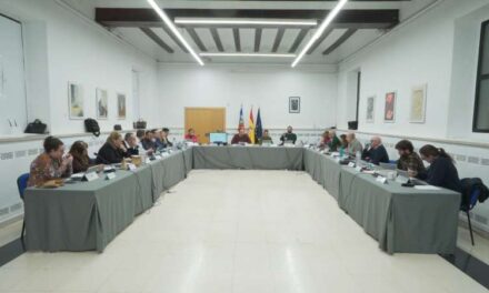 El vot de qualitat de l’alcalde de Manises valida la postura del ple contra l’ampliació de l’aeroport￼