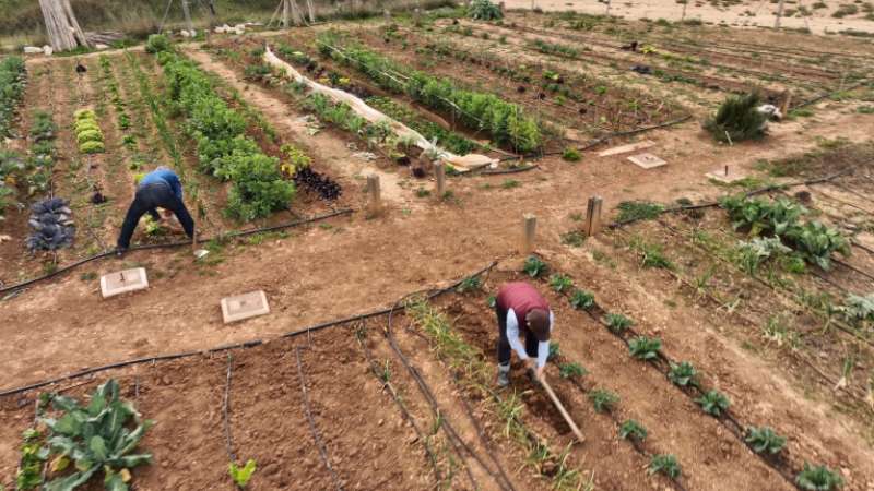 Nova convocatòria per a sol·licitar l’ús de huit parcel·les en els horts socials Mandor Canonge de l’Eliana