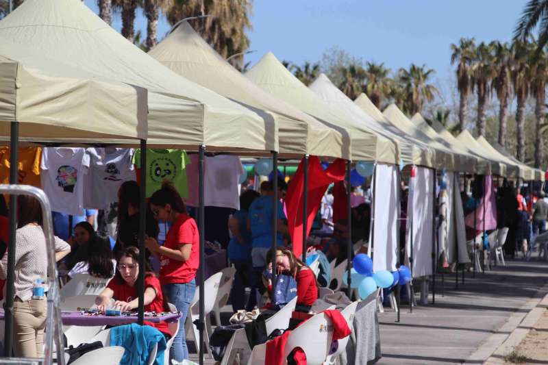Una enquesta revela la importància de les associacions a Aldaia