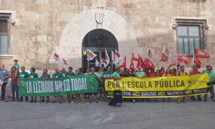 La Plataforma en Defensa de l’Ensenyament Públic es concentra contra la llei educativa