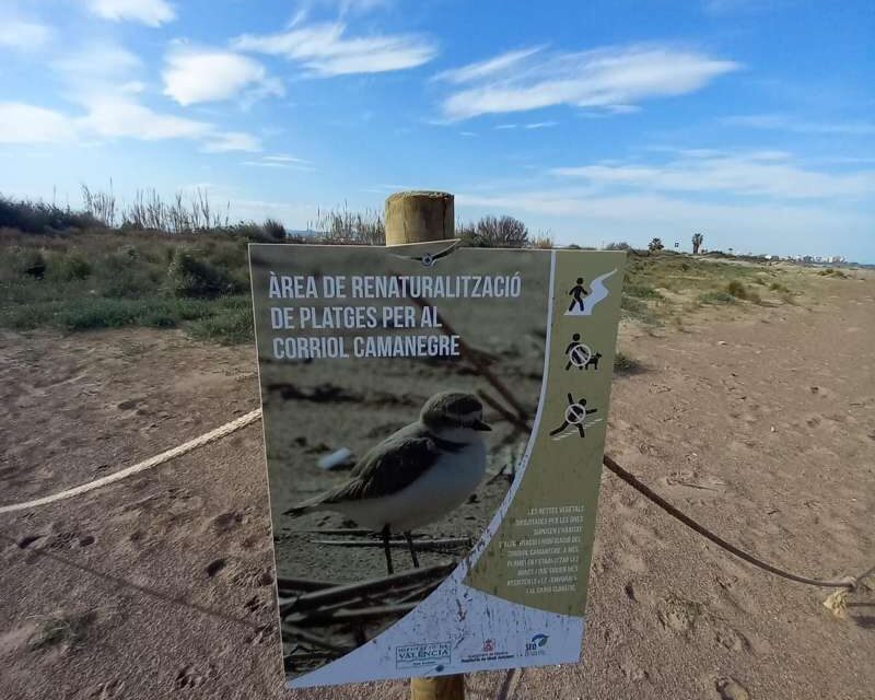 Compromís alerta de l’impacte de la nova Llei de costes de la Generalitat en la platja de Meliana
