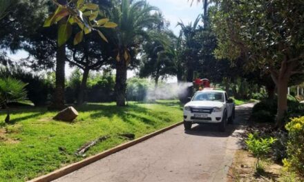 Compromís Picanya denuncia la retallada en tractaments contra plagues