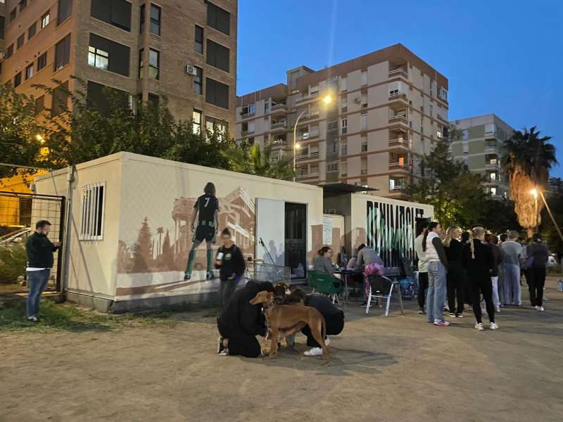 El camp de futbol del Sporting Benimaclet ha salvat ja a més de 300 animals sense refugi després de la DANA