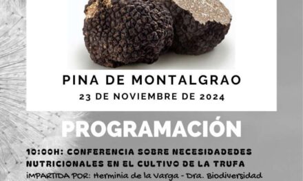 Fira de la tòfona negra a Pina de Montalgrao