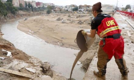 El cap de la UME recorda que és la Generalitat Valenciana qui autoritza l’entrada de militars