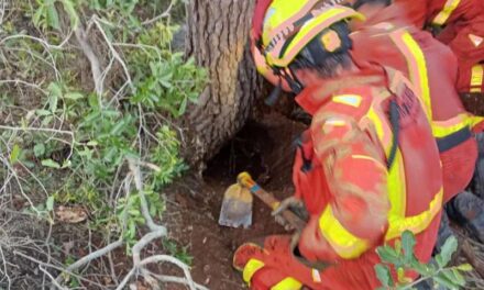 Salven a un gos atrapat diversos dies en un cau de conill a la Pobla Llarga